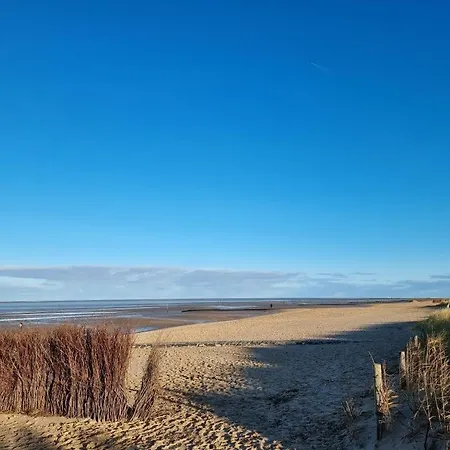 Nordseebrandung B6.4